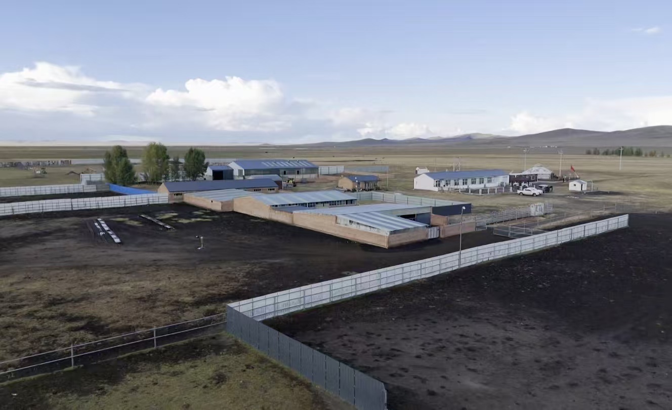 乌拉盖管理区：牧民的“牛”日子越过越红火