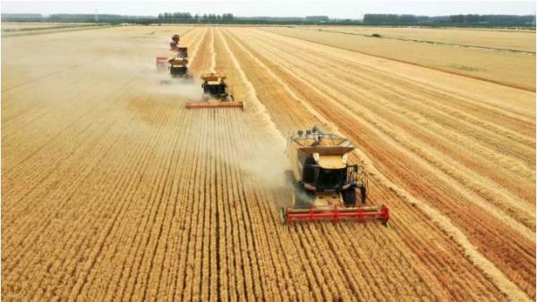 中原粮仓农机潮涌——全国农机展何以5年扎根驻马店