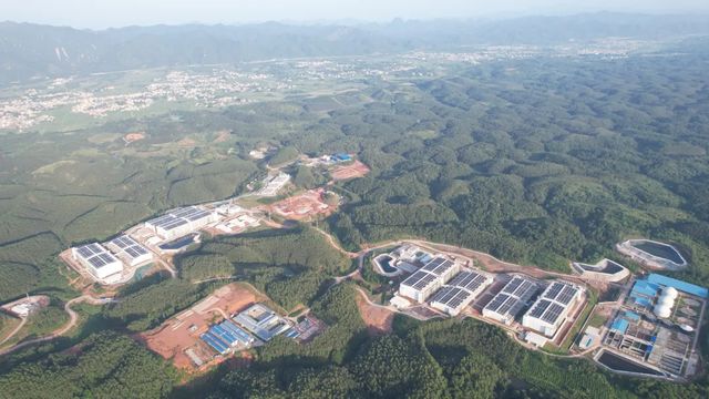 广垦畜牧、越秀农牧、广弘控股、广东省食出……未来这7家国企可占广东生猪出栏30%【梅里众诚特约·数说猪业】(图3)