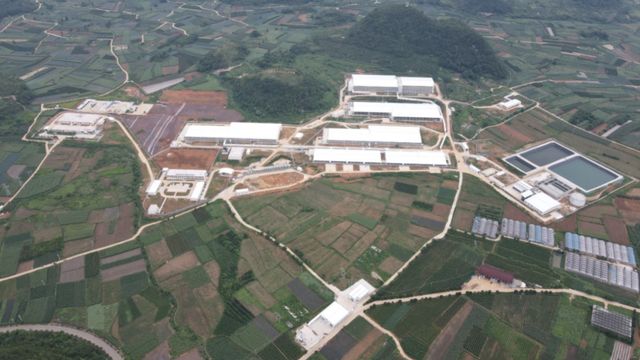 广垦畜牧、越秀农牧、广弘控股、广东省食出……未来这7家国企可占广东生猪出栏30%