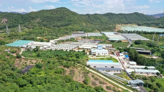 广垦畜牧、越秀农牧、广弘控股、广东省食出……未来这7家国企可占广东生猪出栏30%【梅里众诚特约·数说猪业】(图11)