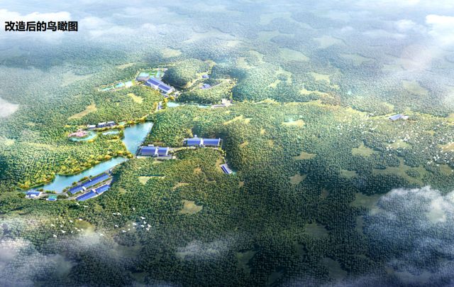 广垦畜牧、越秀农牧、广弘控股、广东省食出……未来这7家国企可占广东生猪出栏30%【梅里众诚特约·数说猪业】(图9)