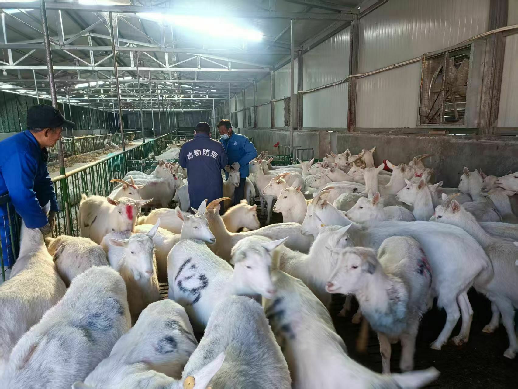 凯发旗舰厅宝鸡市农业农村局