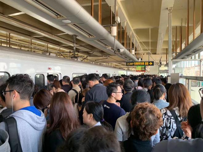 ag凯发在乡下养猪好还是打工好？养猪和打工哪个好？看完就明白了(图1)