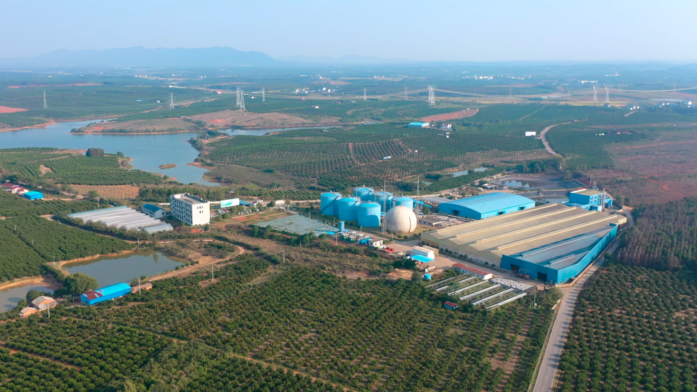 活力中国调研行｜“赣”出美丽！这里的乡村景美民富(图1)