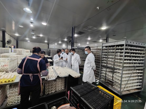 柳州市委副书记索申敬到广西实隆农牧集团调研(图1)