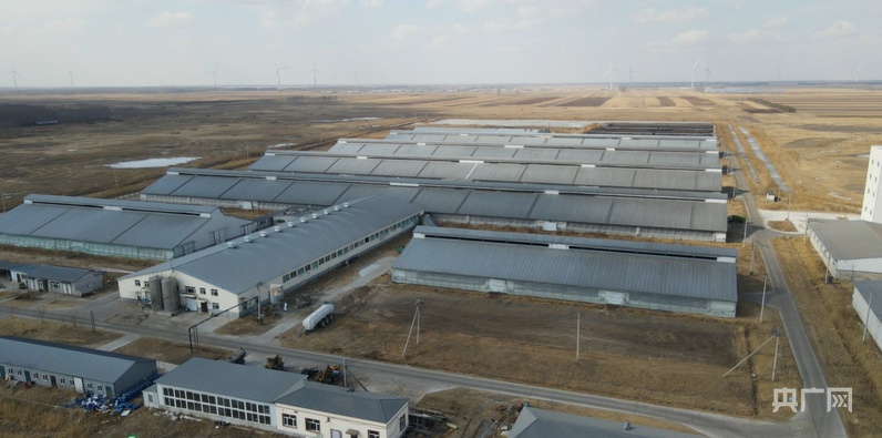 高质量发展看中国｜畜牧大县冲刺百亿级产业“牛劲儿”十足