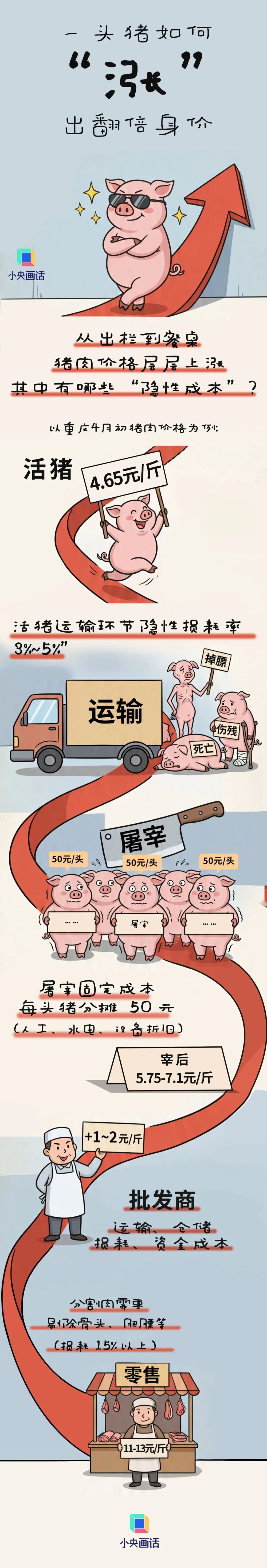猪价跌穿5元排骨为何还20元？揭秘“一头猪”的“涨价”链条(图3)