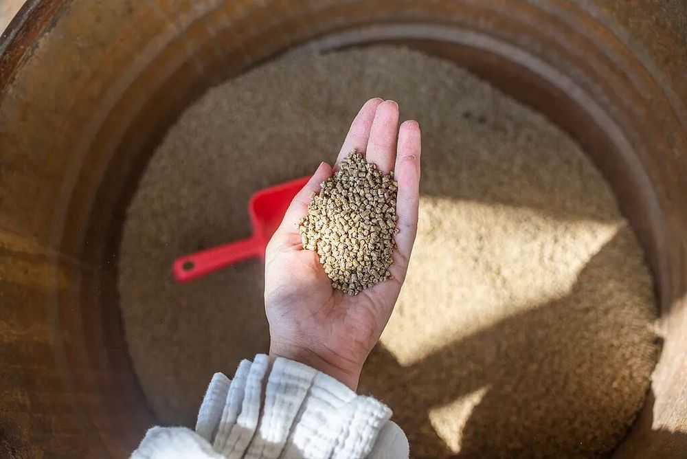 猪价跌穿5元排骨为何还20元？揭秘“一头猪”的“涨价”链条(图5)