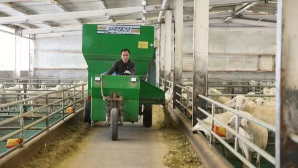 一季度墨玉县畜牧产业稳步发展羊牛鸡助农增收促振兴(图5)