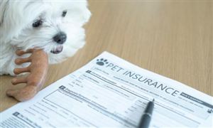 中研网行业资讯_中研普华行业研究网(图13)