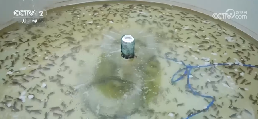 智慧养殖抢“鲜”机新农人的“科技养殖”大有门道(图2)